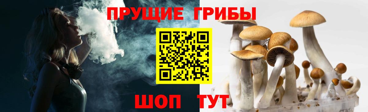 Галлюциногенные грибы мицелий  Галлюциногенные грибы Psilocybe  Златоуст  Вход с VPN 